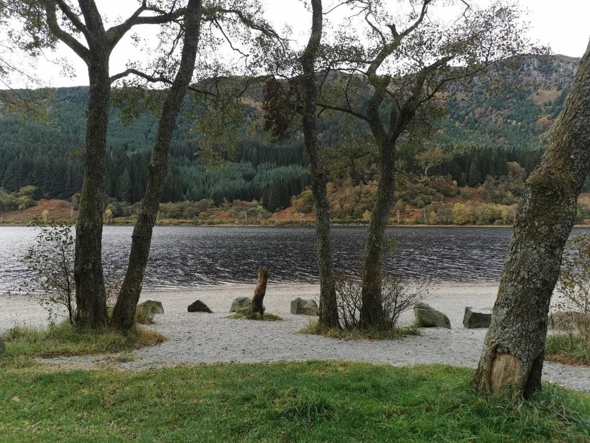 Wallace View Stirling
